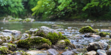 Odkryj Krznę: Przewodnik po malowniczej rzece wschodniej polski Sport i rozrywka Odkryj Krznę: Przewodnik po malowniczej rzece wschodniej polski
