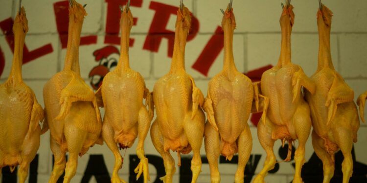 Ergonomia i bezpieczeństwo przy odcinaniu łap drobiu – jakie rozwiązania realnie zmniejszają obciążenie pracowników?